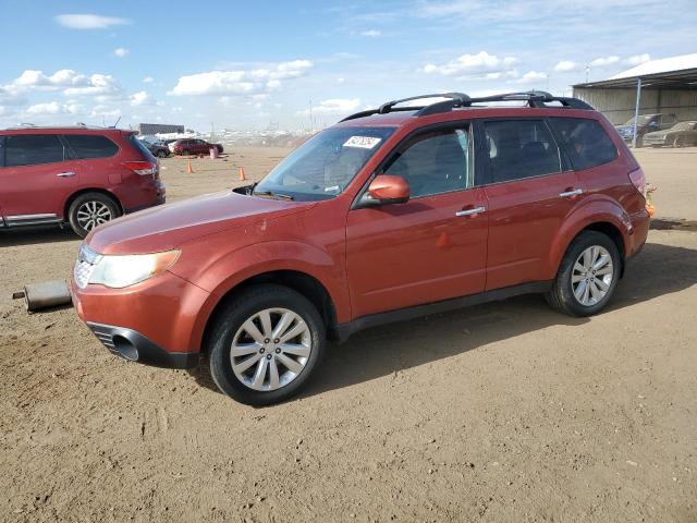 2011 Subaru Forester 2.5X Premium VIN: JF2SHBDC5BG704370 Lot: 54376254