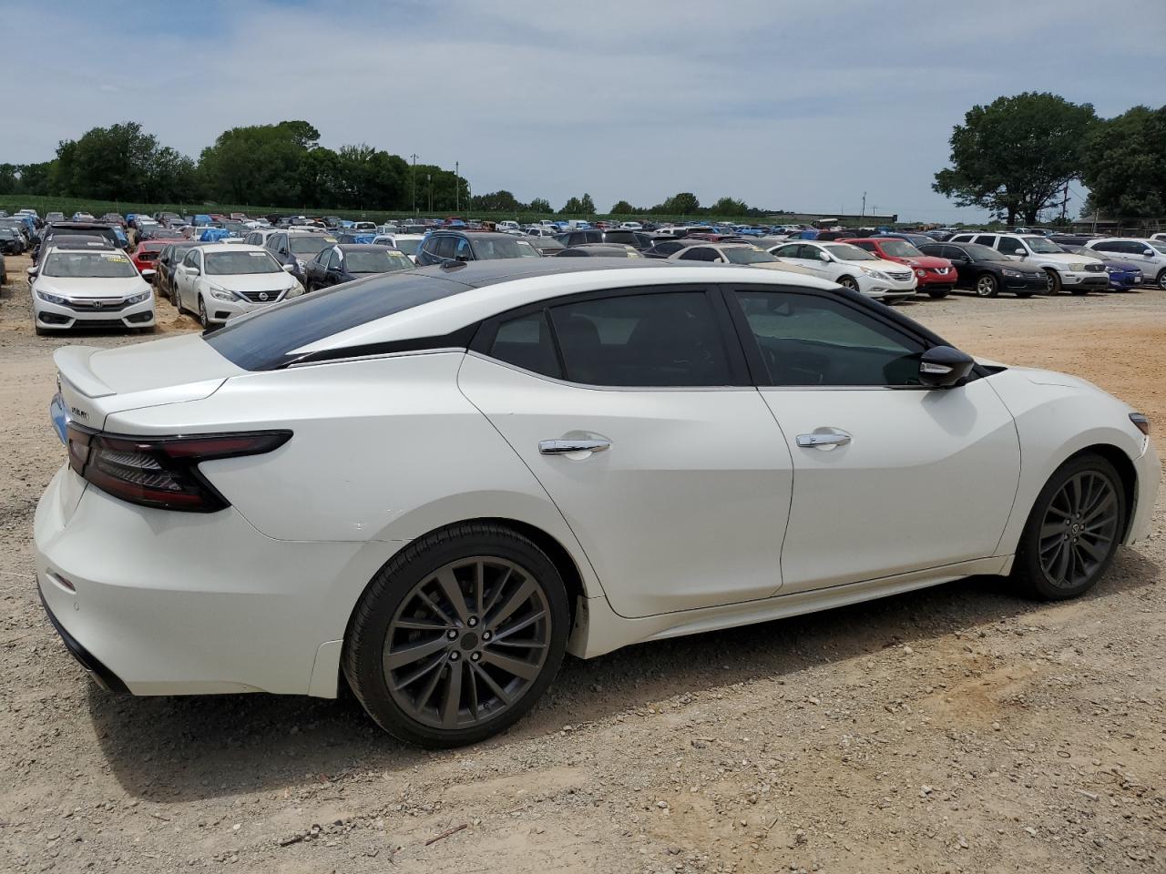 1N4AA6AV7KC362929 2019 Nissan Maxima S