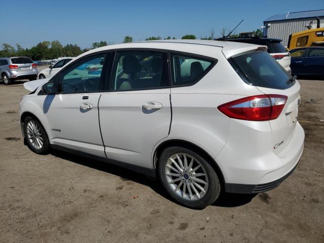 2014 Ford C-Max Se VIN: 1FADP5AUXEL505549 Lot: 55585624