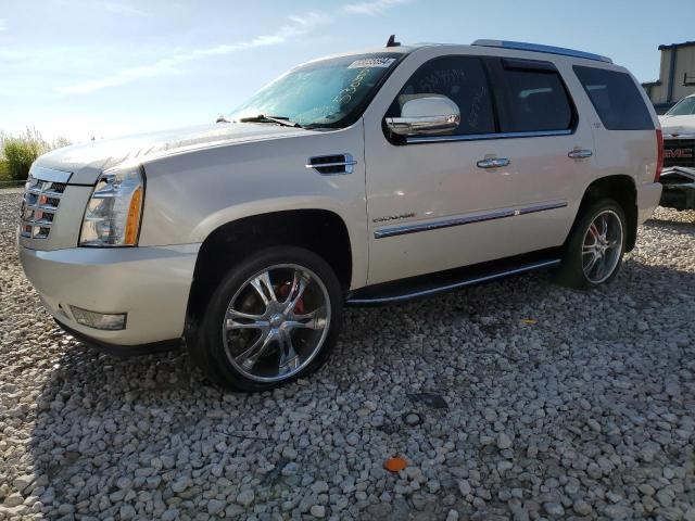 2010 Cadillac Escalade Luxury VIN: 1GYUKBEF7AR111009 Lot: 53035594