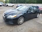 2016 NISSAN ALTIMA 2.5 - 1N4AL3AP8GN379454