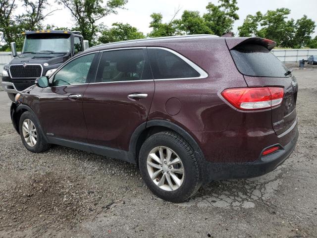 2016 KIA SORENTO 5XYPGDA50GG174876