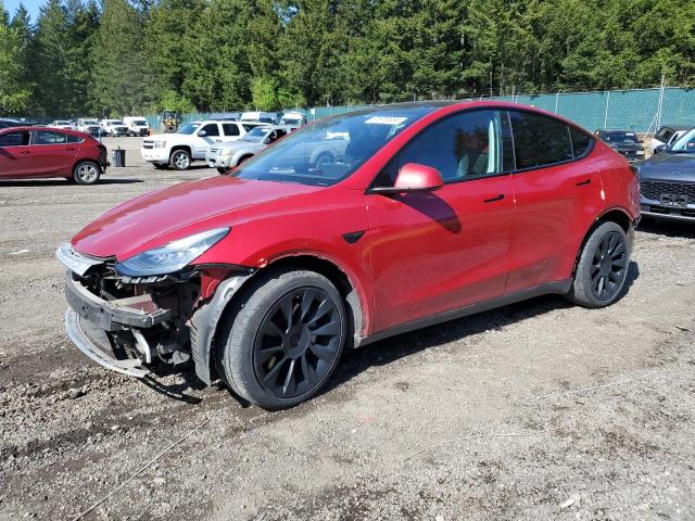 2020 Tesla Model Y VIN: 5YJYGDEE3LF008495 Lot: 51970334