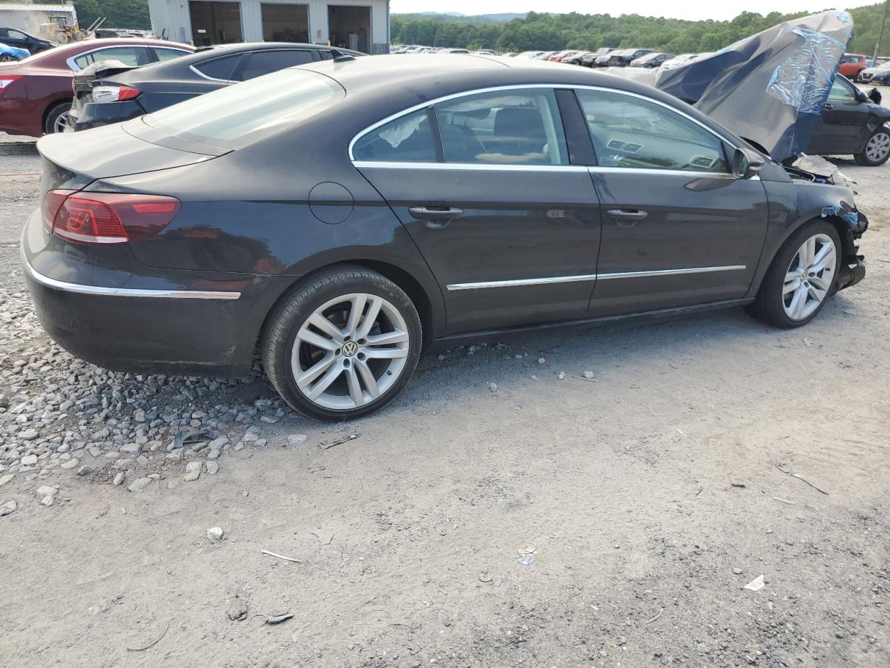 WVWRP7ANXFE802220 2015 Volkswagen Cc Executive