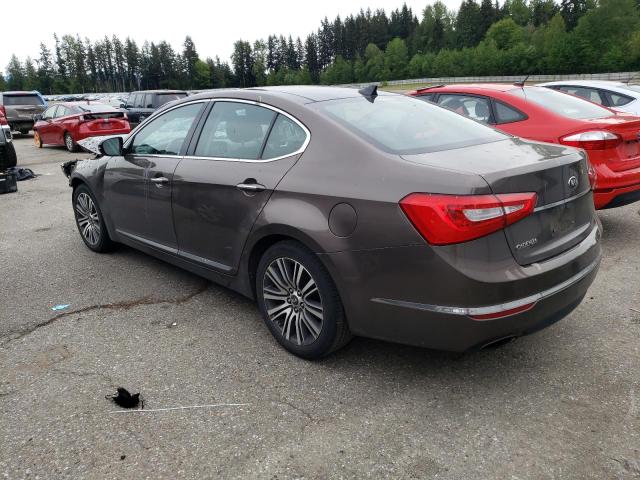 2014 Kia Cadenza Premium VIN: KNALN4D79E5156560 Lot: 53307804