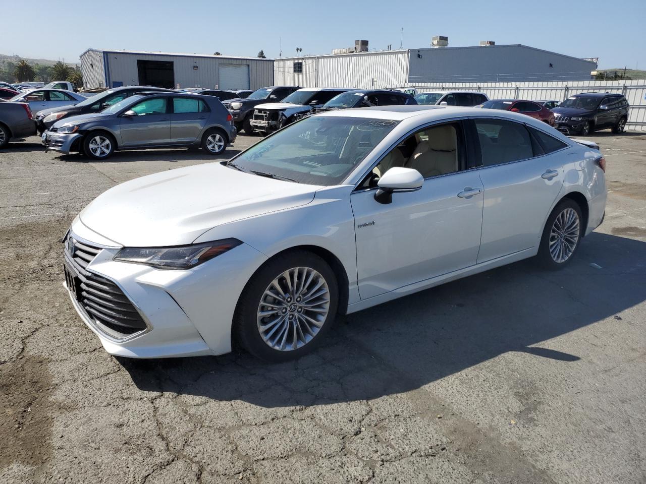 2019 Toyota Avalon Xle vin: 4T1B21FB9KU009756