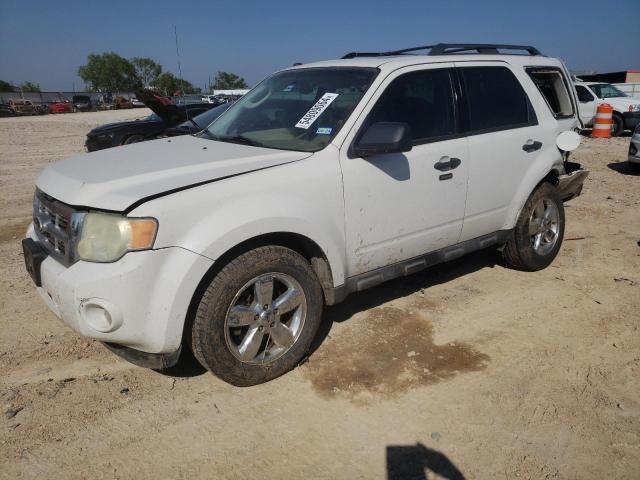 Vin: 1fmcu0dg8akb66874, lot: 54809064, ford escape xlt 2010 img_1