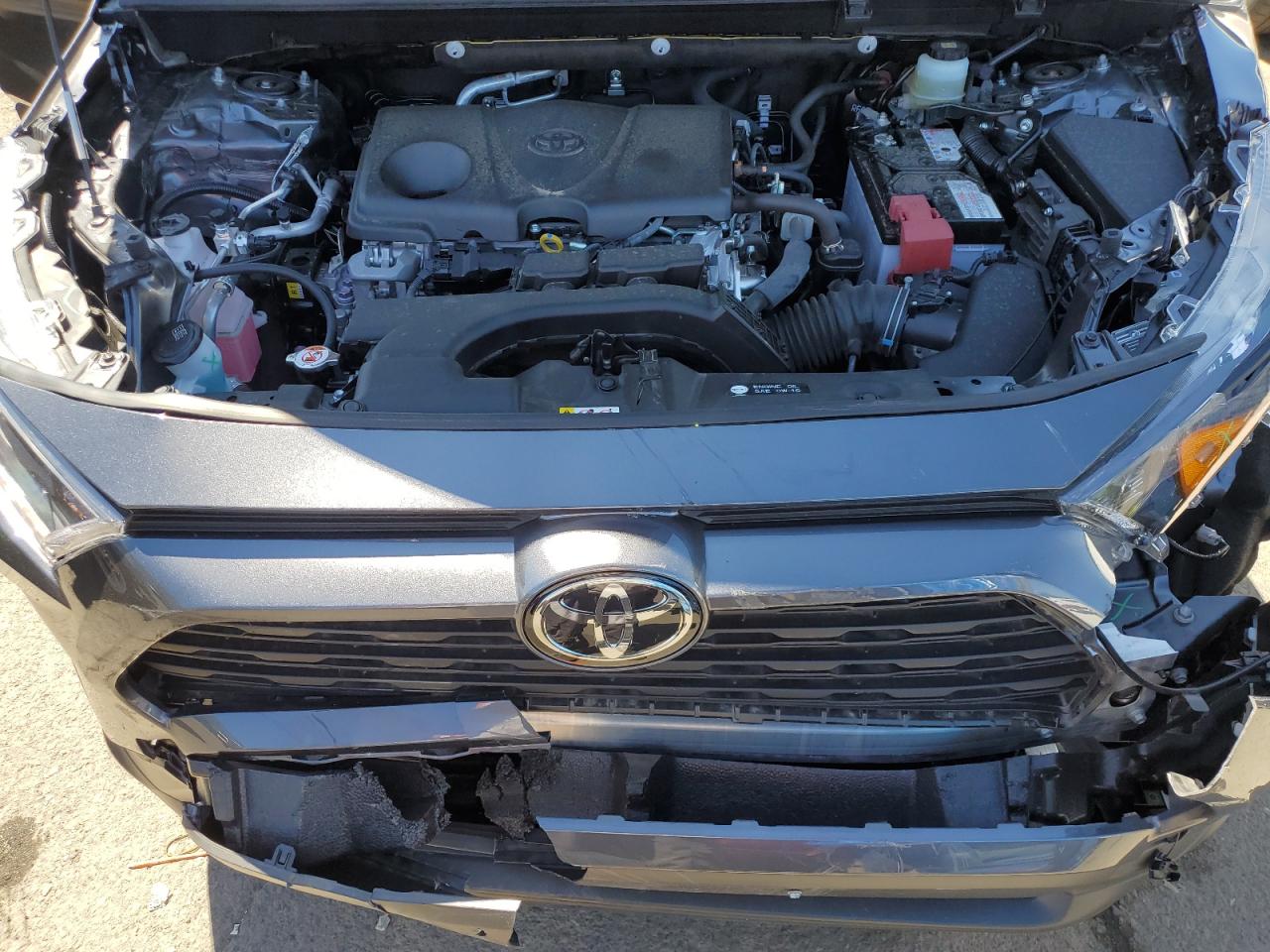 JTMG1RFV4KD020590 2019 Toyota Rav4 Le