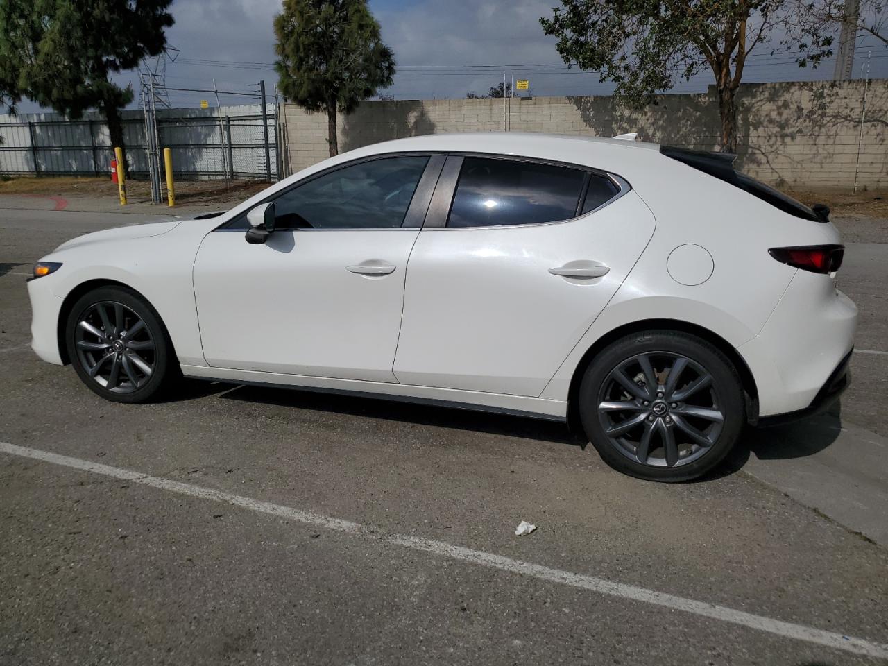 JM1BPAMM3K1120203 2019 Mazda 3 Preferred