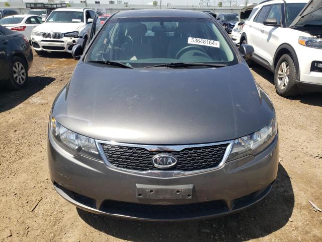 2013 Kia Forte Ex VIN: KNAFU5A28D5687181 Lot: 53648164