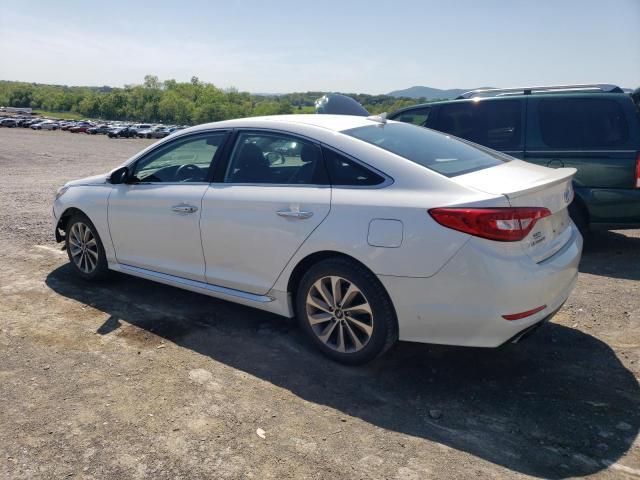 2015 Hyundai Sonata Sport VIN: 5NPE34AF5FH144503 Lot: 54666834