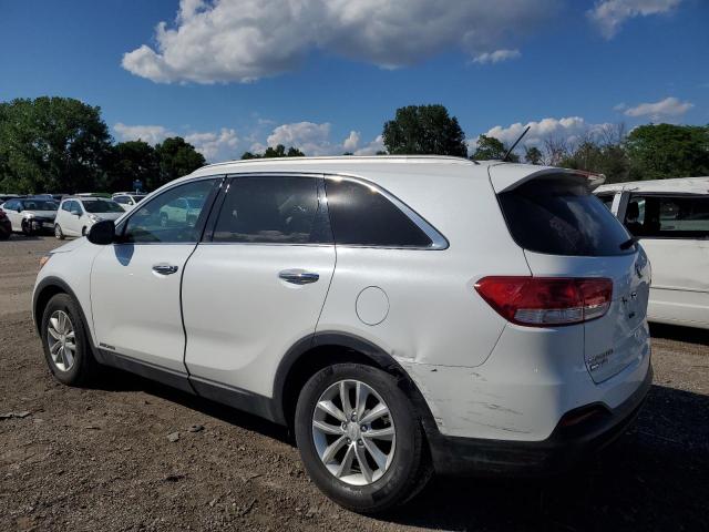 2017 Kia Sorento Lx VIN: 5XYPGDA5XHG212003 Lot: 56495584