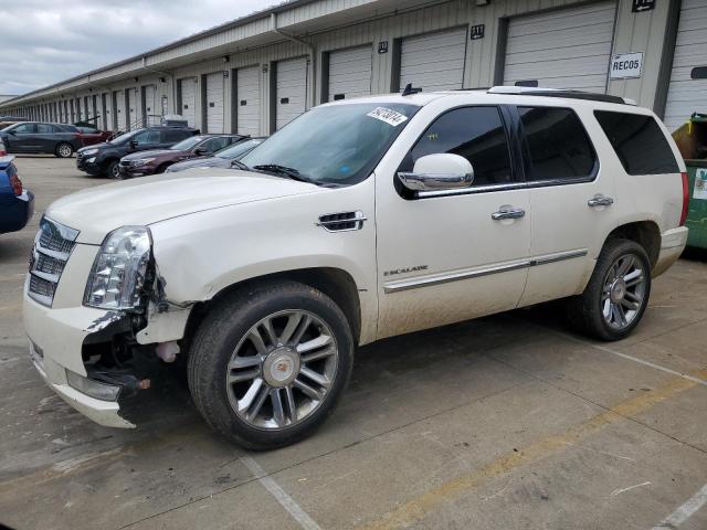 2013 Cadillac Escalade Platinum VIN: 1GYS4DEF1DR176505 Lot: 54213014