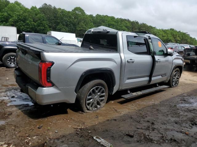 2023 Toyota Tundra Crewmax Platinum VIN: 5TFNC5DB5PX025208 Lot: 53054504