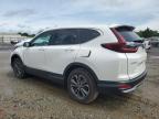 Lot #2602750152 2020 HONDA CR-V EXL