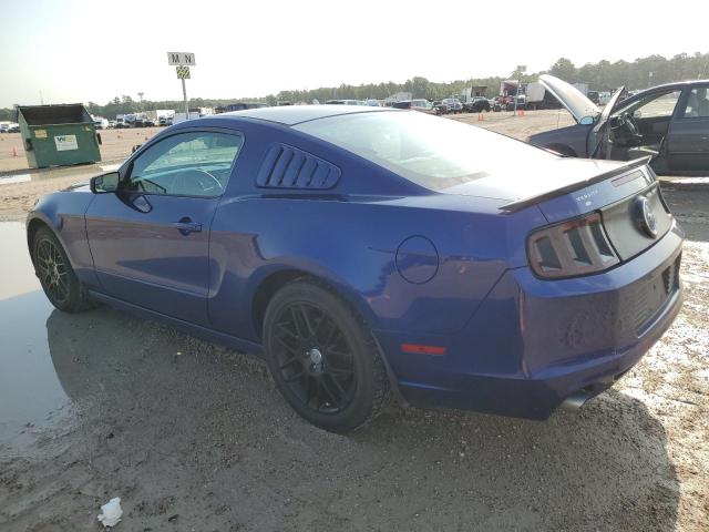 2014 Ford Mustang VIN: 1ZVBP8AM5E5231388 Lot: 56755344