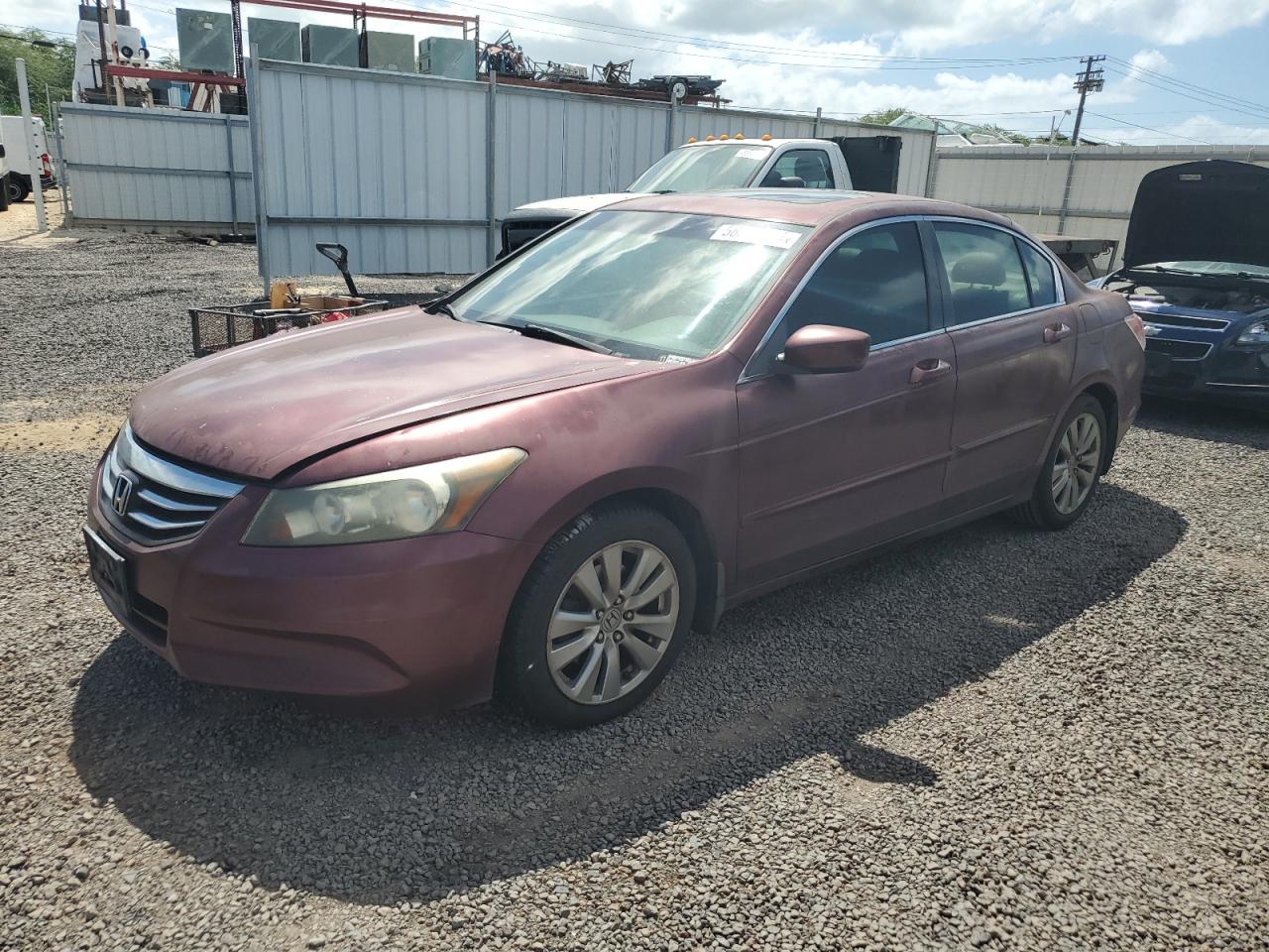 1HGCP2F83CA036539 2012 Honda Accord Exl