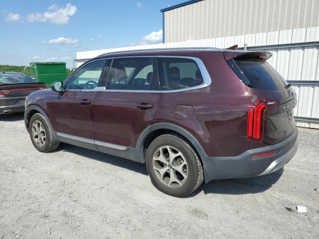 2020 Kia Telluride Ex VIN: 5XYP34HC6LG025303 Lot: 54741744