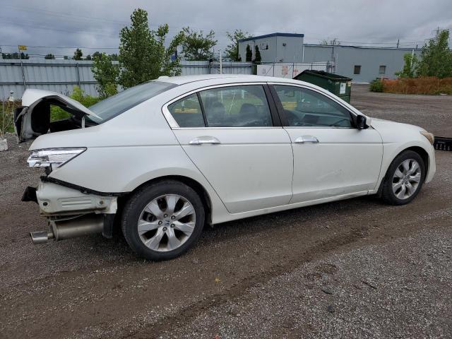 2008 Honda Accord Exl VIN: 1HGCP36868A803247 Lot: 56270974