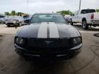 FORD MUSTANG photo