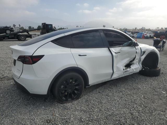 2023 Tesla Model Y VIN: 7SAYGAEE4PF780379 Lot: 53104824