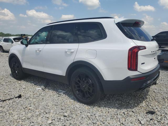 2022 Kia Telluride Ex VIN: 5XYP3DHC8NG300138 Lot: 55373014