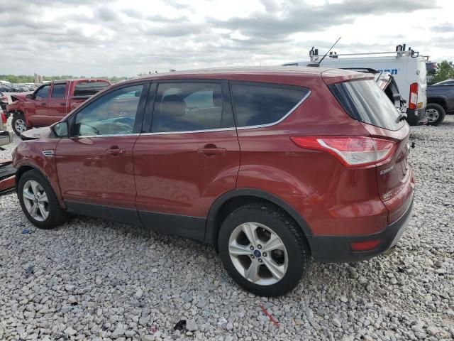 2014 Ford Escape Se VIN: 1FMCU9G92EUE04830 Lot: 54883794