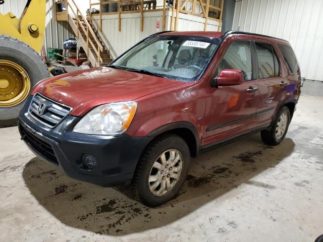 2005 Honda Cr-V Ex VIN: JHLRD78815C810390 Lot: 55535744