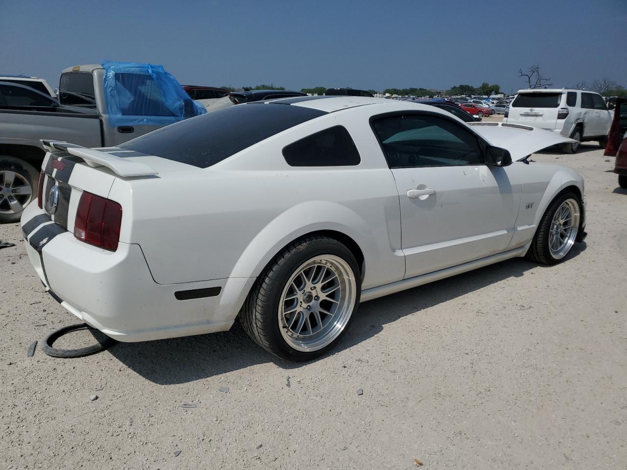 1ZVFT82H265176351 2006 Ford Mustang Gt