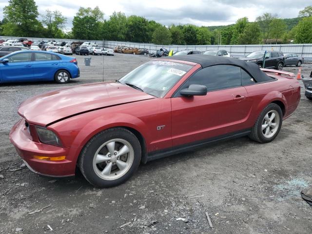 2007 Ford Mustang Gt VIN: 1ZVHT85H075234169 Lot: 54990314