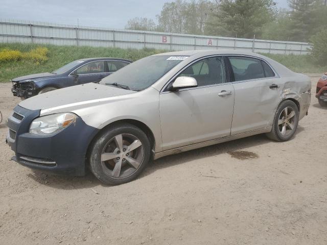 2011 Chevrolet Malibu 1Lt VIN: 1G1ZC5EU3BF365109 Lot: 53751594