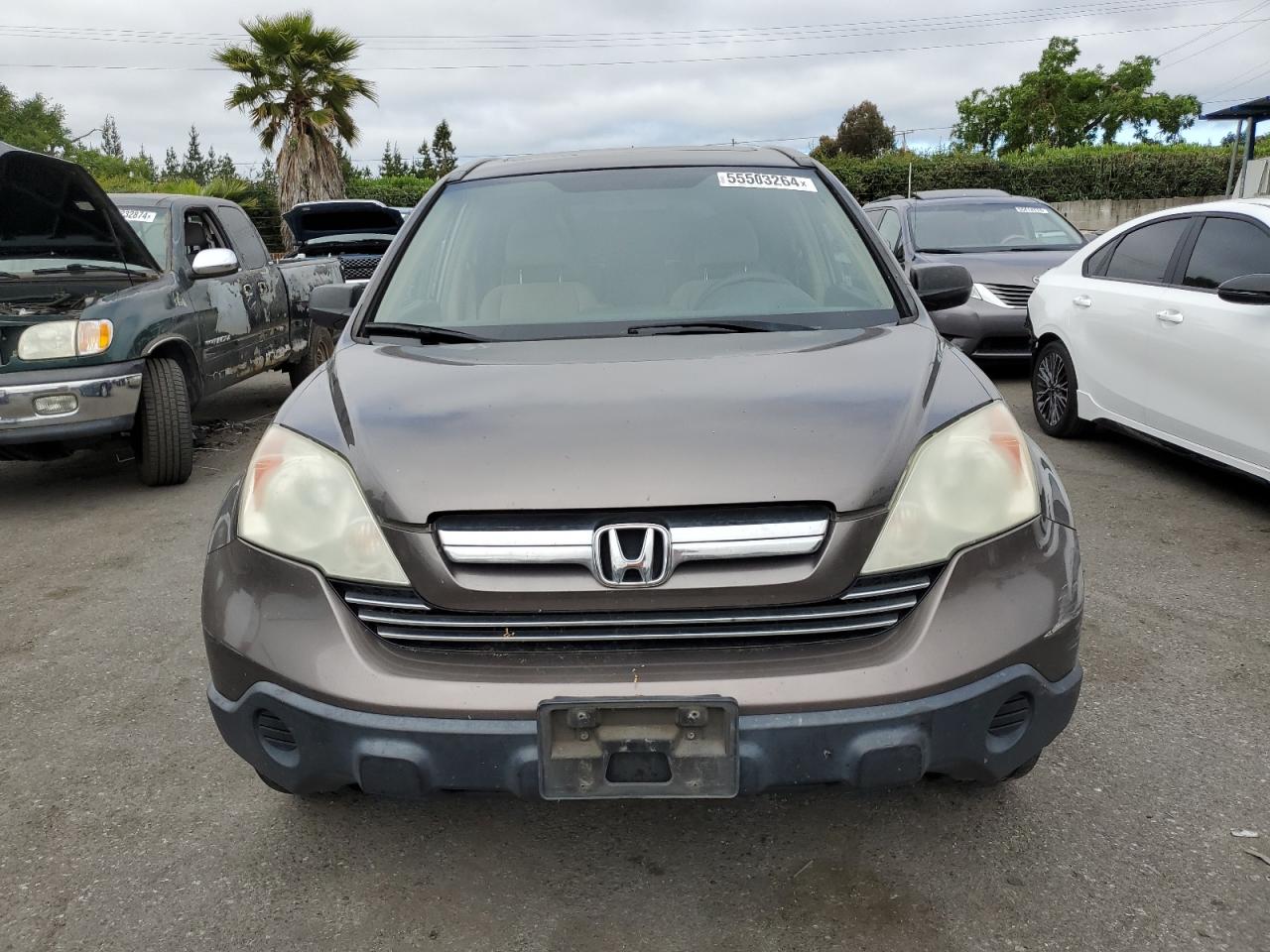 3CZRE38509G703546 2009 Honda Cr-V Ex