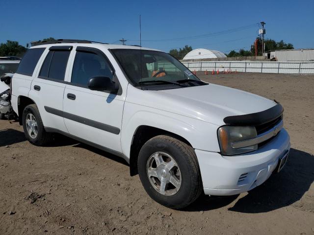 2005 Chevrolet Trailblazer Ls VIN: 1GNDT13S752347887 Lot: 55631204