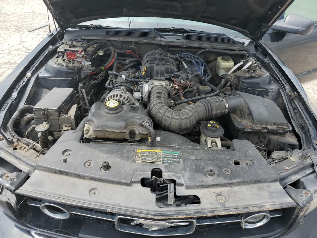 1ZVFT80NX65180365 2006 Ford Mustang