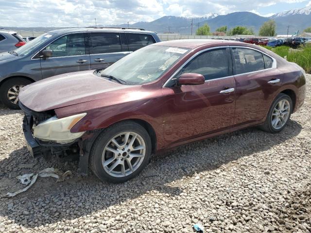 2013 Nissan Maxima S VIN: 1N4AA5AP8DC836739 Lot: 53506744