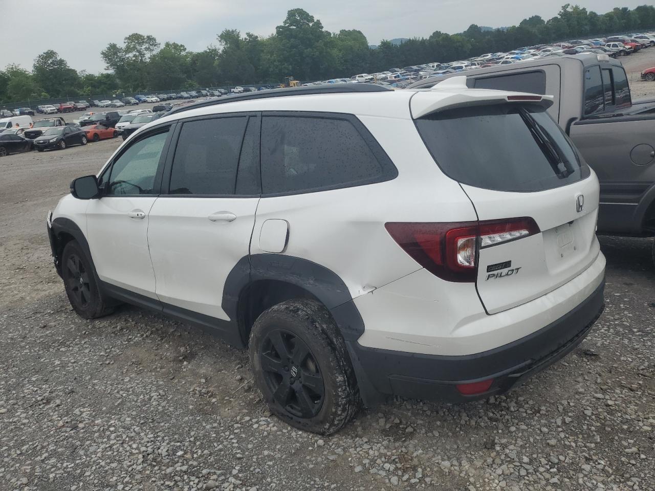 2022 Honda Pilot Trailsport vin: 5FNYF6H85NB081360