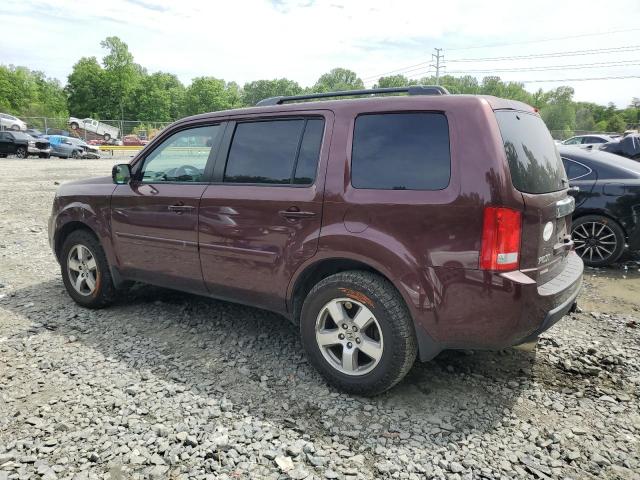 2011 Honda Pilot Exl VIN: 5FNYF4H58BB051419 Lot: 53624644