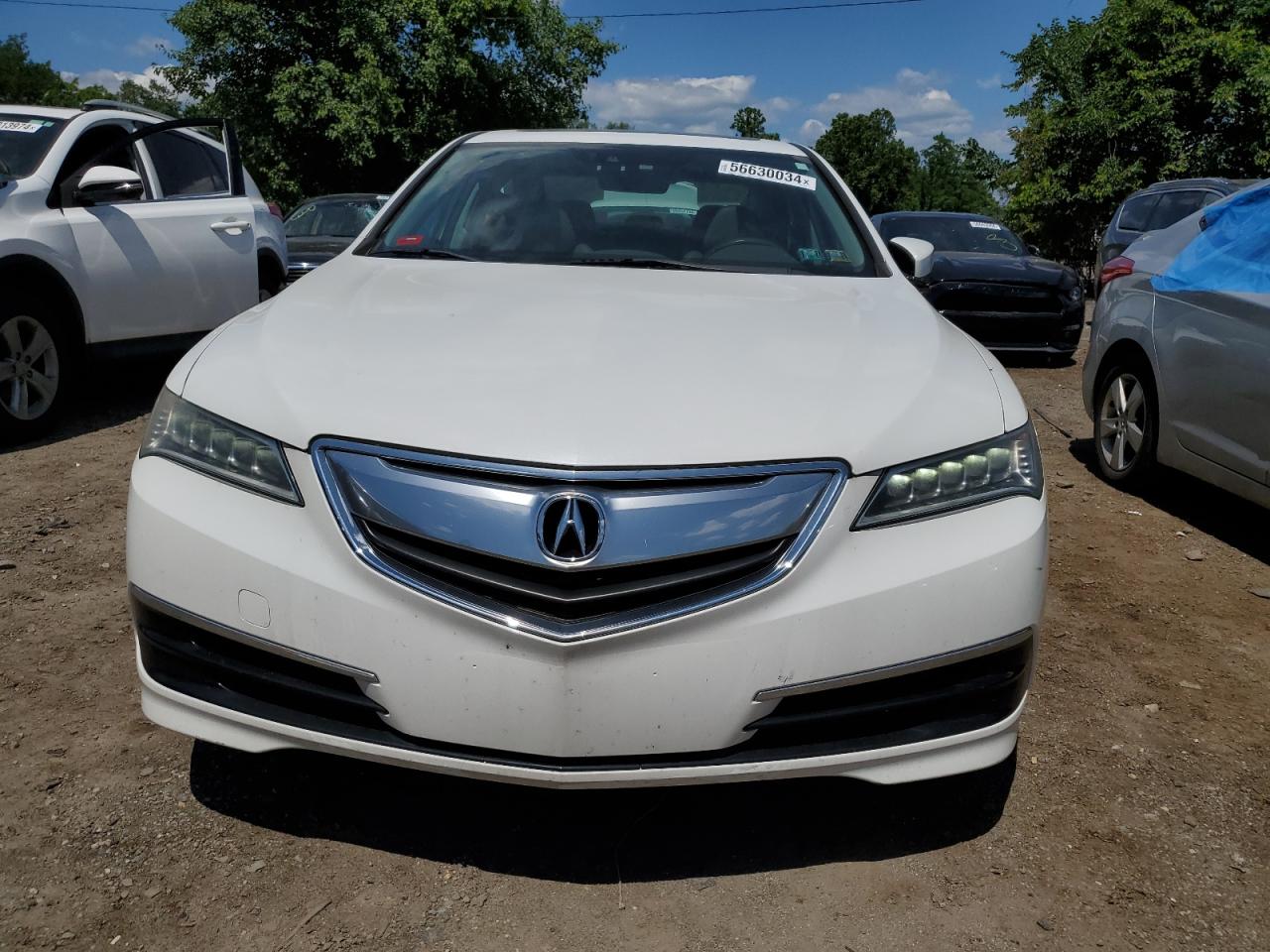 19UUB2F50GA004565 2016 Acura Tlx Tech