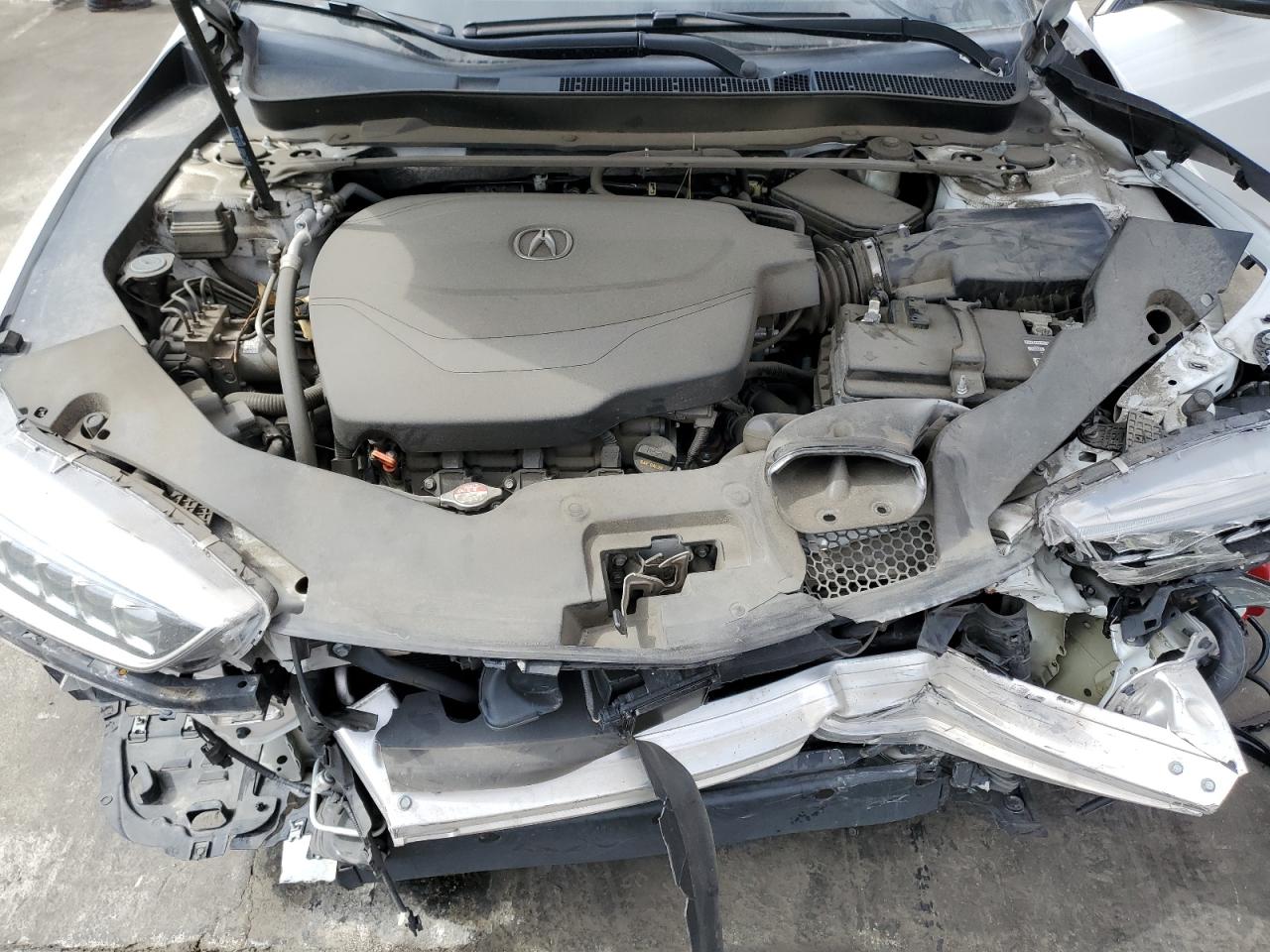 19UUB2F31KA010527 2019 Acura Tlx