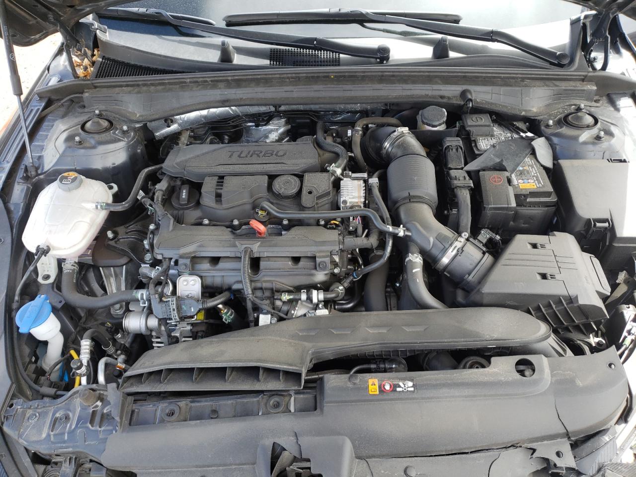 5XXG14J26PG199955 2023 Kia K5 Lxs