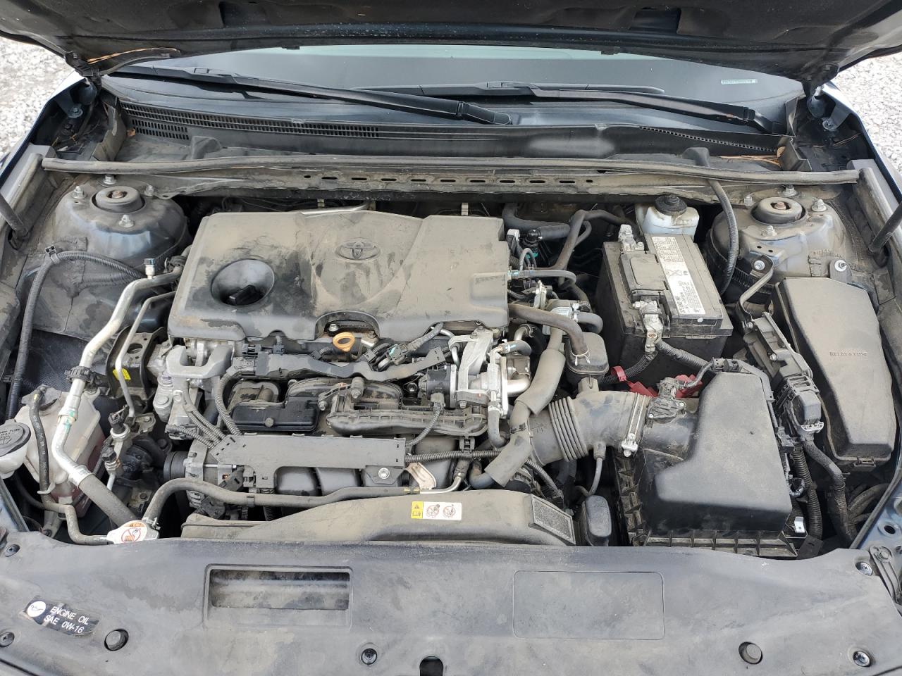 4T1B11HK8KU257903 2019 Toyota Camry L