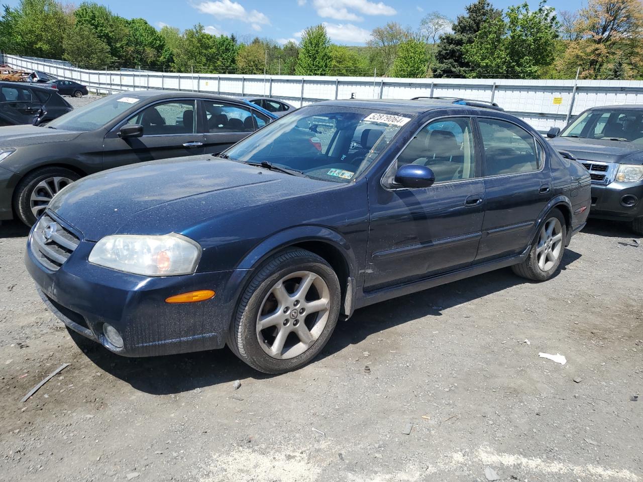 JN1DA31D53T505233 2003 Nissan Maxima Gle