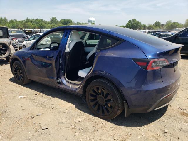 2021 Tesla Model Y VIN: 5YJYGDEE3MF300911 Lot: 55343174