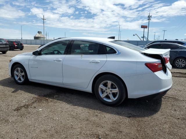 2023 Chevrolet Malibu Ls VIN: 1G1ZC5STXPF199092 Lot: 53939674