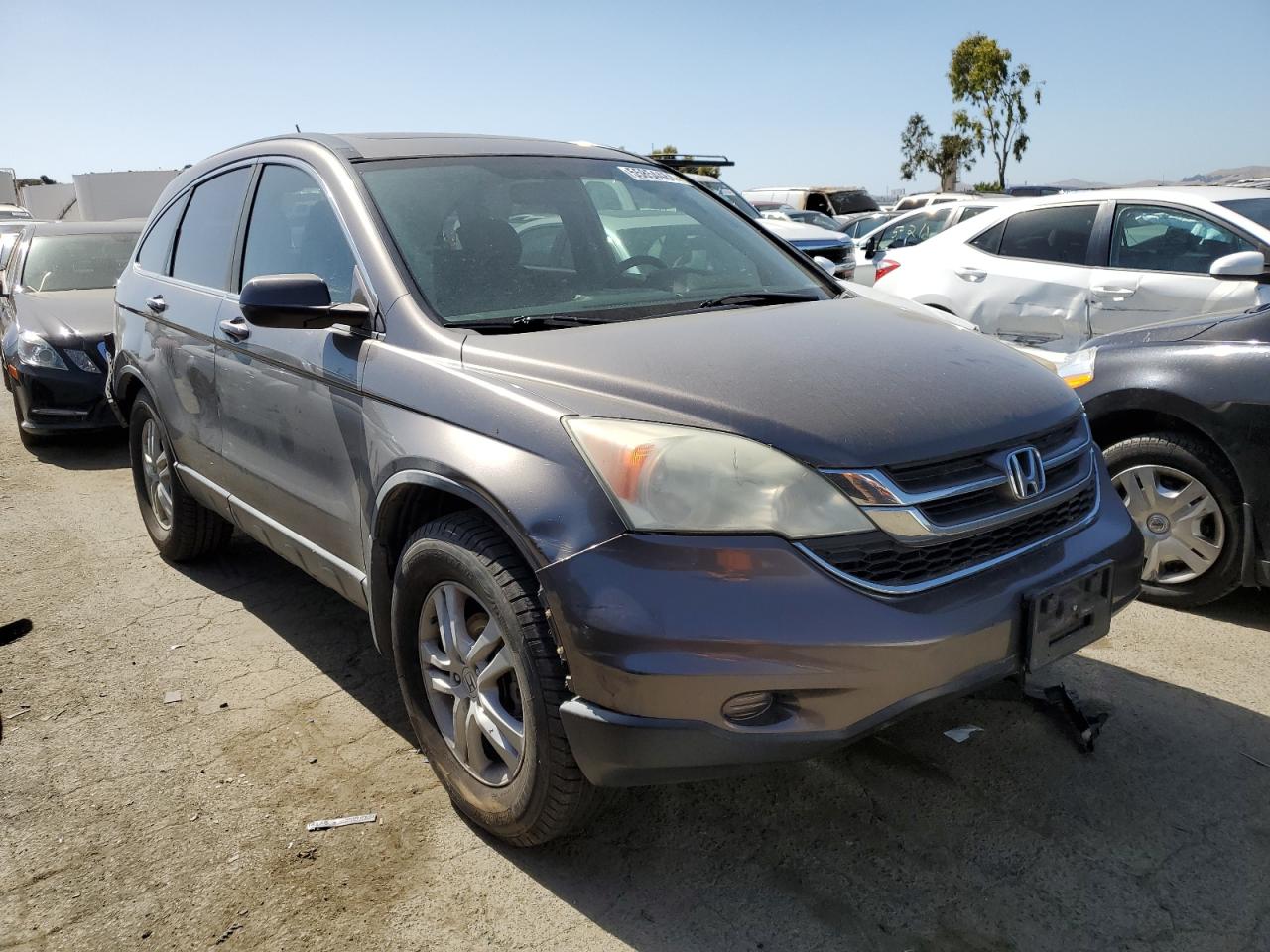 5J6RE3H77AL016816 2010 Honda Cr-V Exl