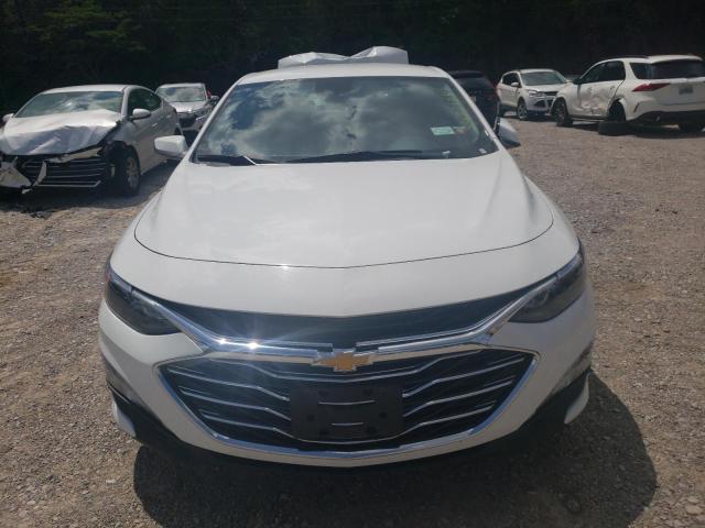 2023 Chevrolet Malibu Lt VIN: 1G1ZD5ST3PF224282 Lot: 53687484