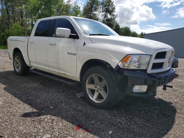 2009 Dodge Ram 1500 VIN: 1D3HV13T29J533739 Lot: 56581744