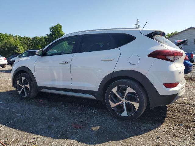 2017 Hyundai Tucson Limited VIN: KM8J3CA23HU299061 Lot: 56667064