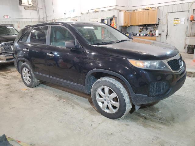 2011 Kia Sorento Base VIN: 5XYKT3A19BG023864 Lot: 54073764