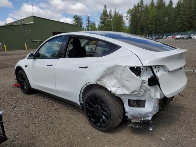 2023 Tesla Model Y VIN: 7SAYGDEE0PF676070 Lot: 55397564